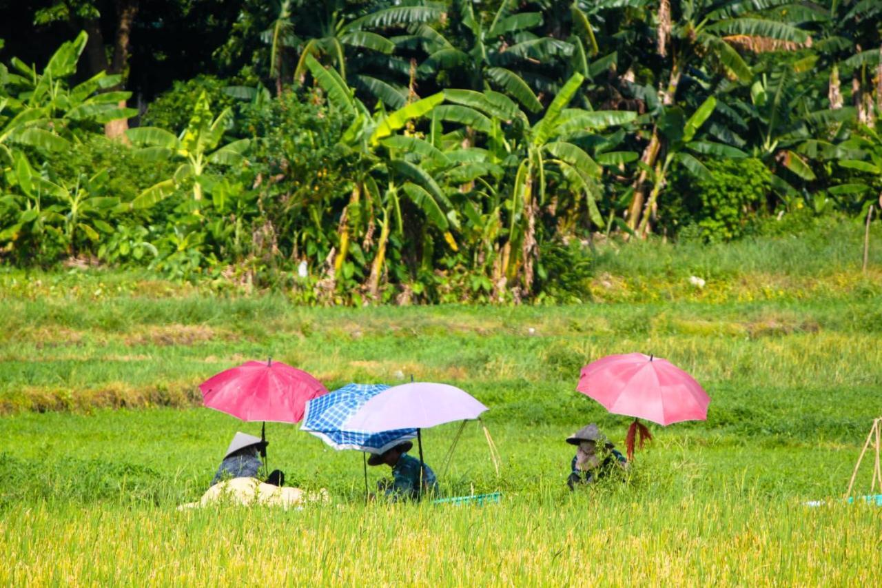 Starlight Boutique Hotel Kuang Ninh Dış mekan fotoğraf